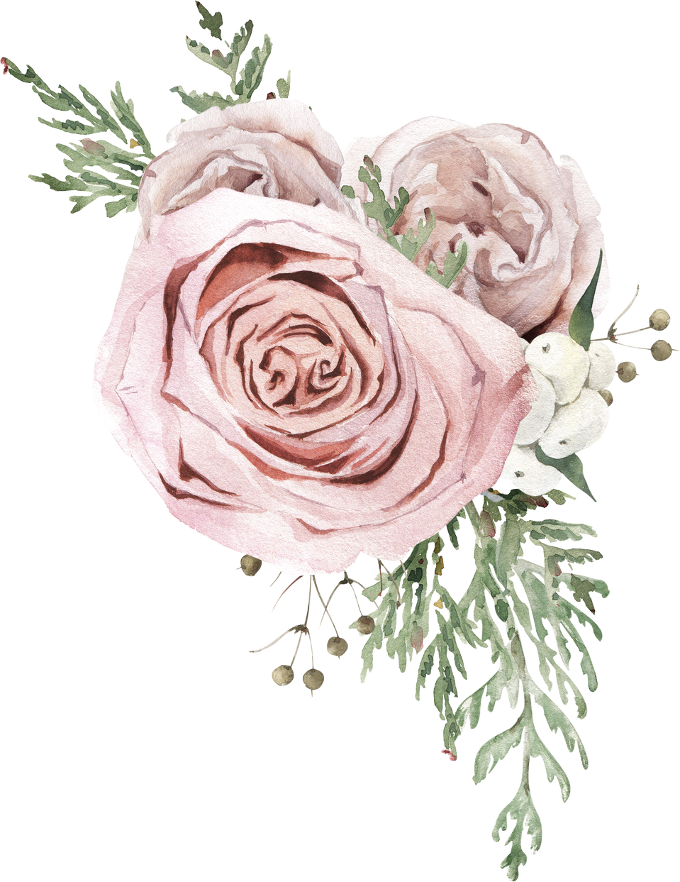 Watercolor Hand Drawn Winter Plants and Rose Flower Bouquet